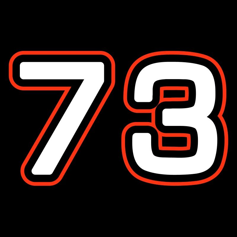 73 Number Symbol