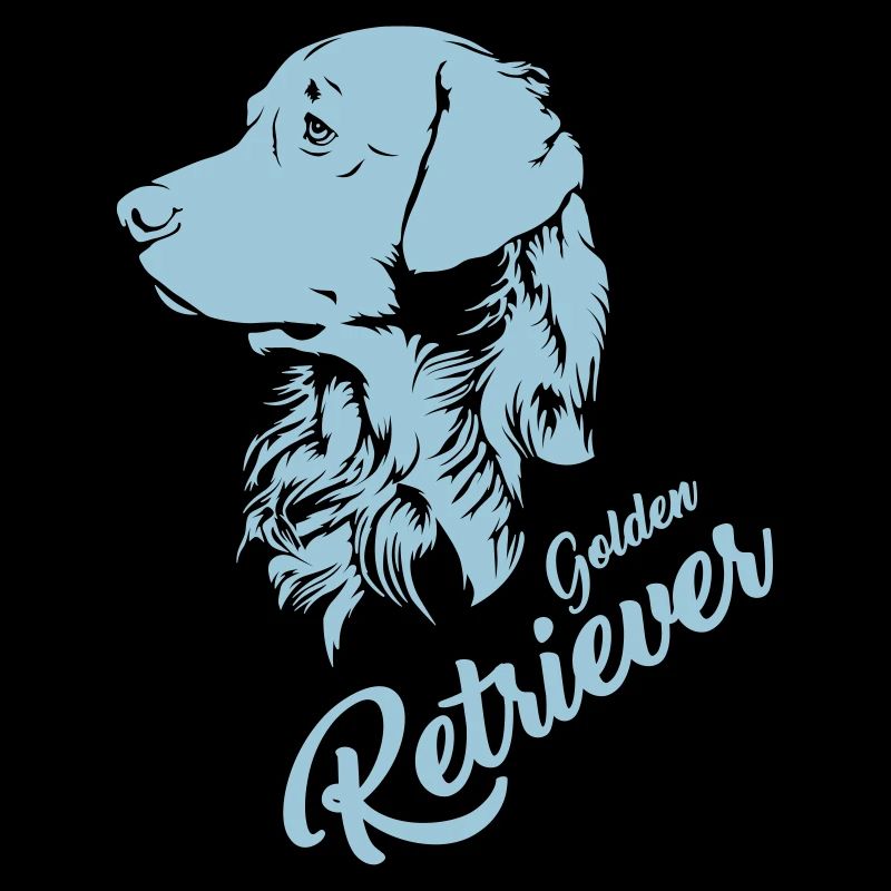 Golden Retriever - Négatif