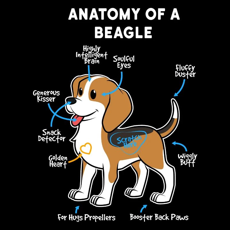 Dog Beagle