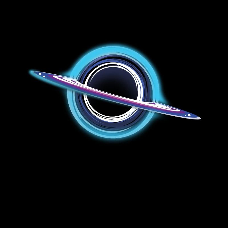 Black Hole Universe
