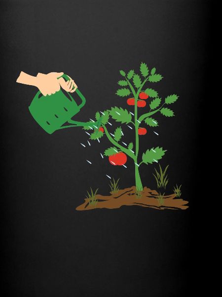 Garden tomatoes