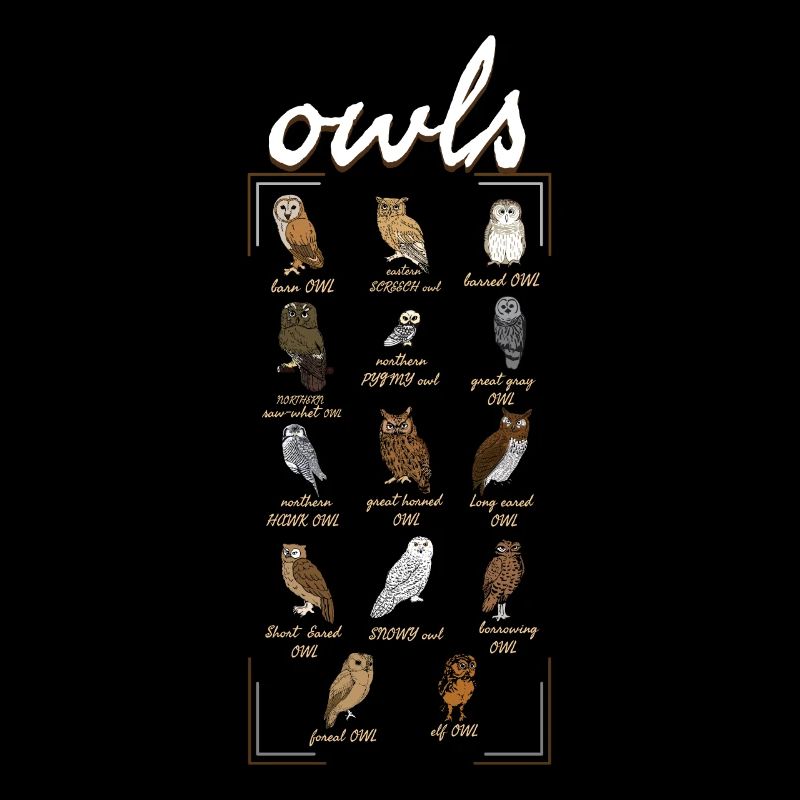 Owls Birder Birdwatcher Birdwatching