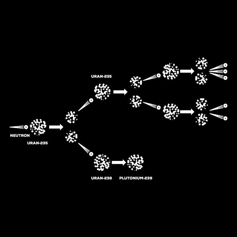 Physicist Nuclear fission