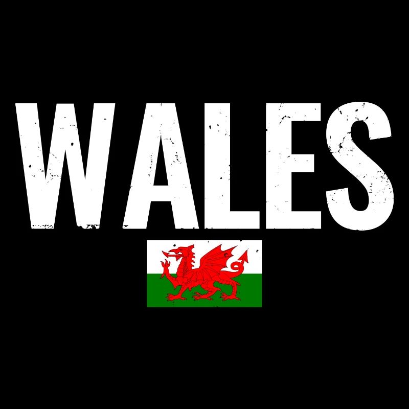 Wales Walisische Flagge Waliser