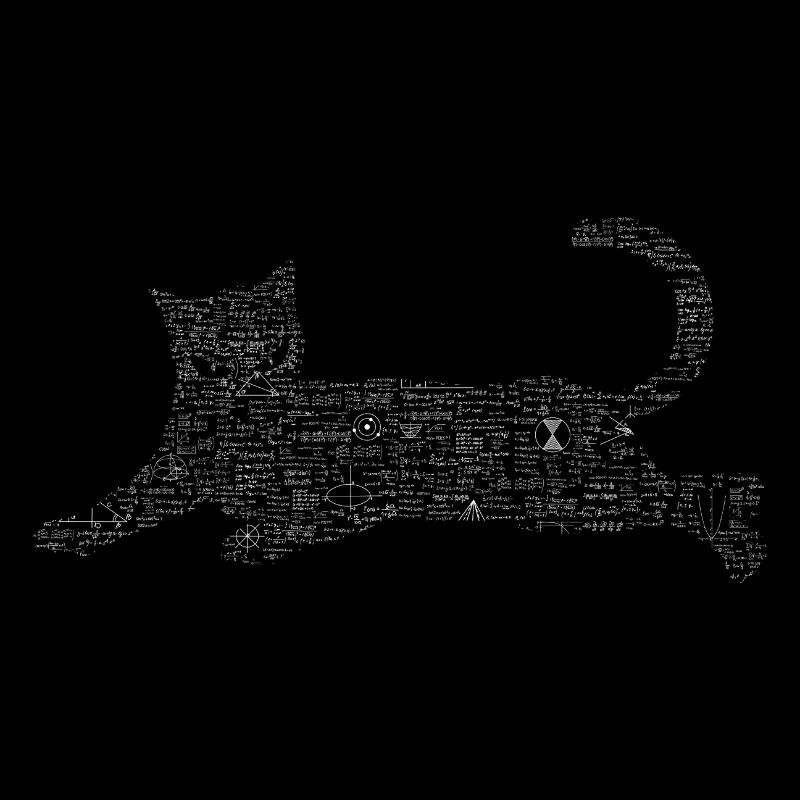 Formula Schrödinger's cat