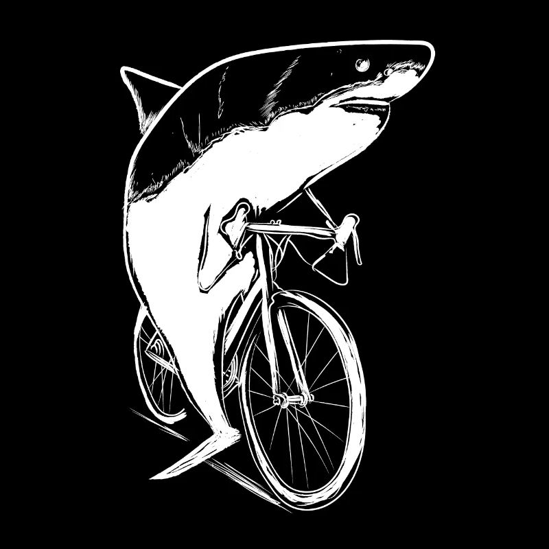 Vélo Hai Vélo Vélo