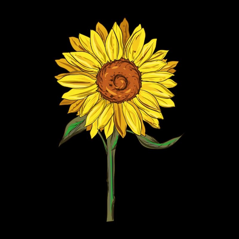 Sonnenblume Sonnenblume Sonnenblume Geschenk