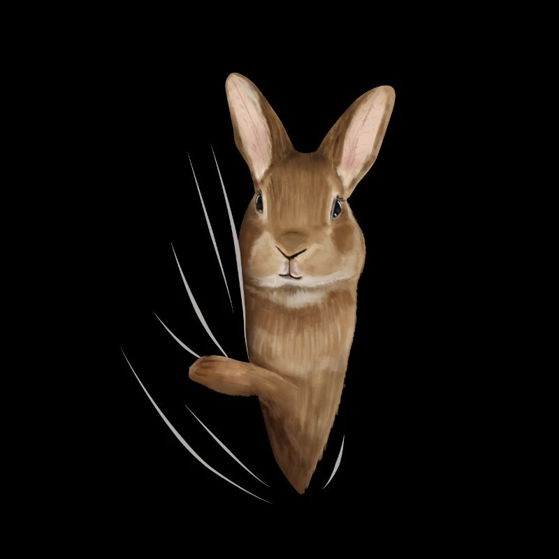 Cadeau d'amant de lapin lapin lapin