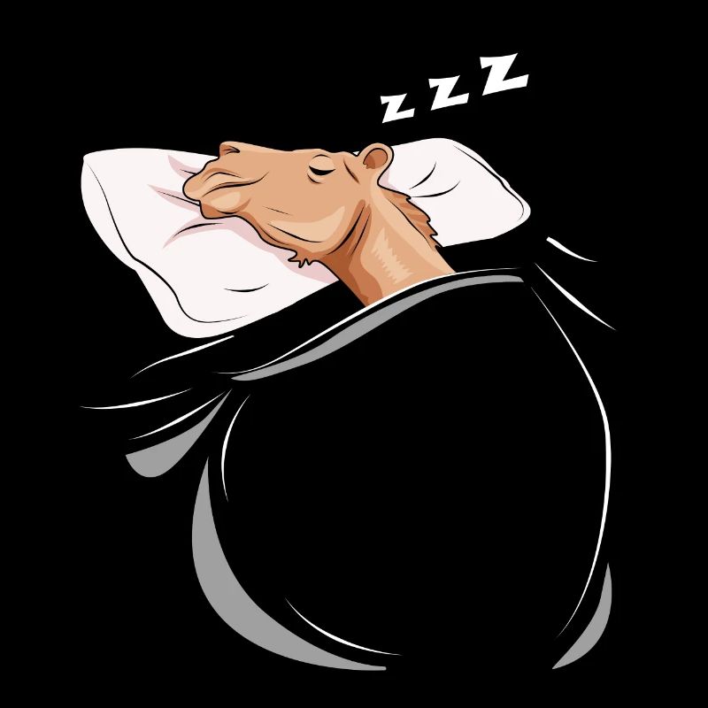 Chameau endormi et endormi