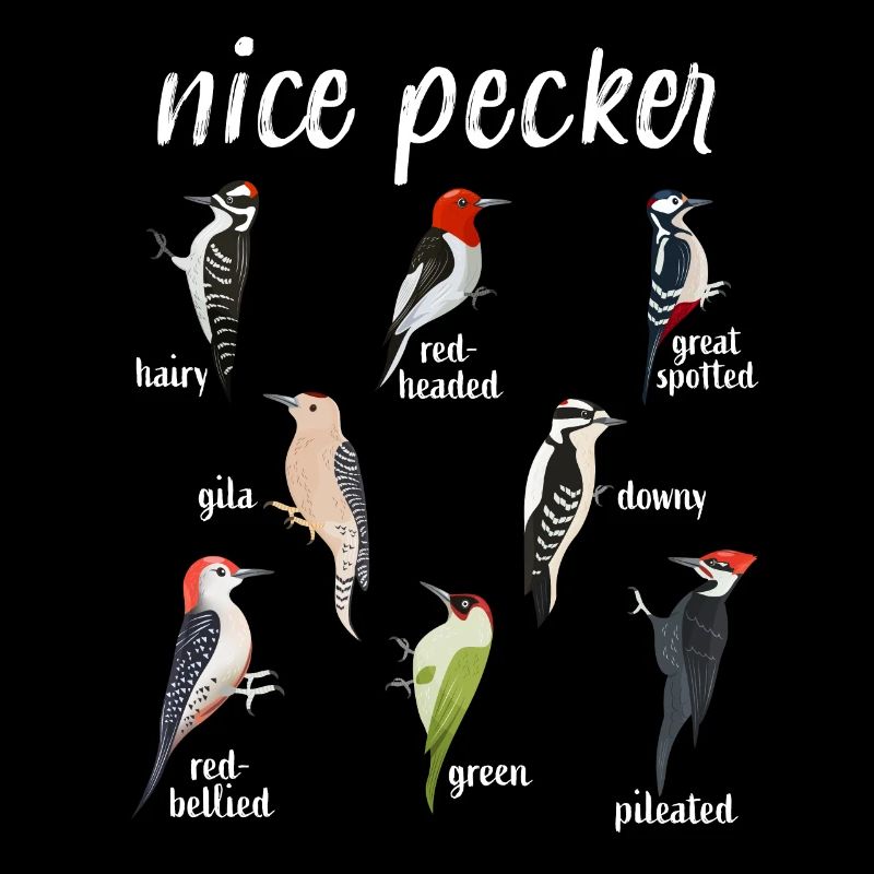 Pic Nice Pecker Drôle d’oiseau Cadeau de Noël