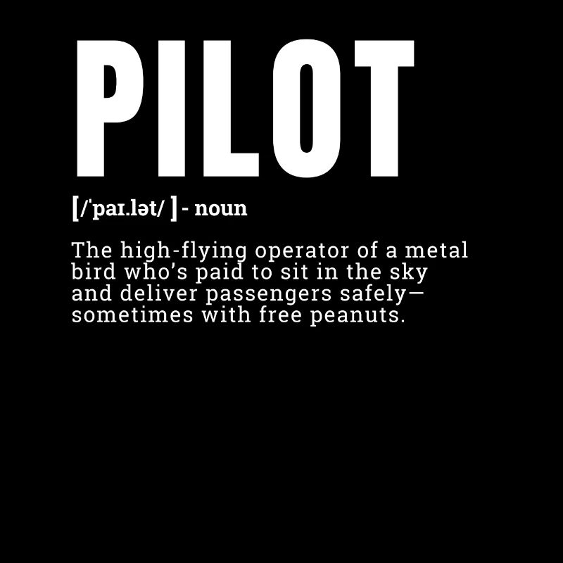 Funny Pilot Dictionary Définition Profession Occuper