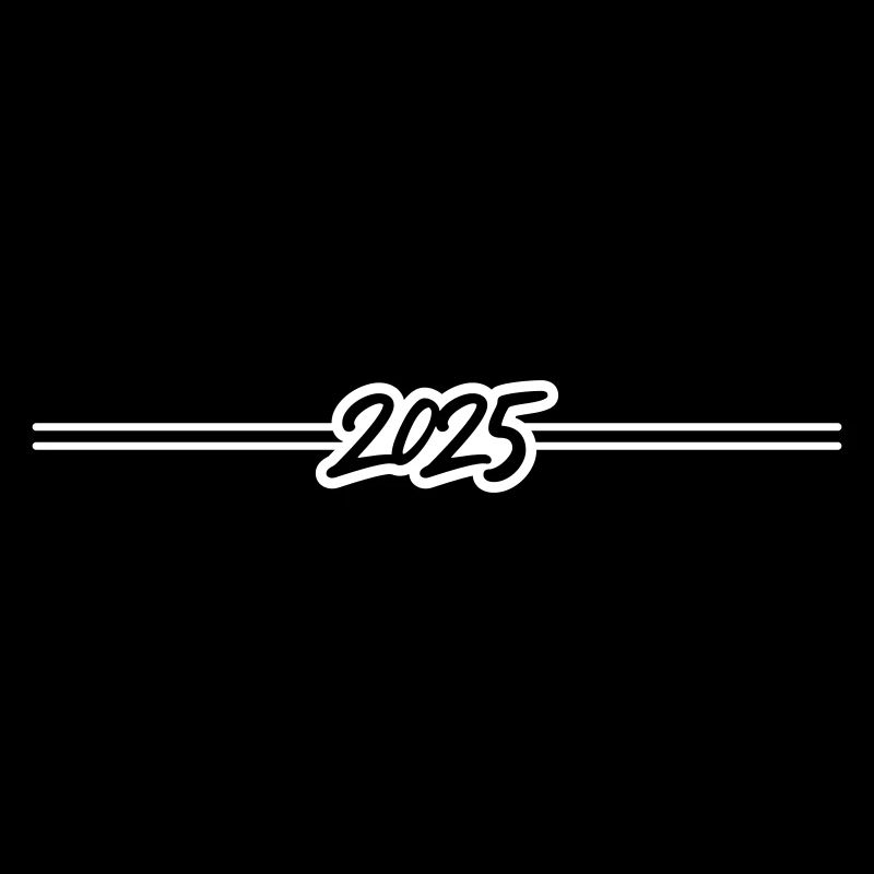 2025 year