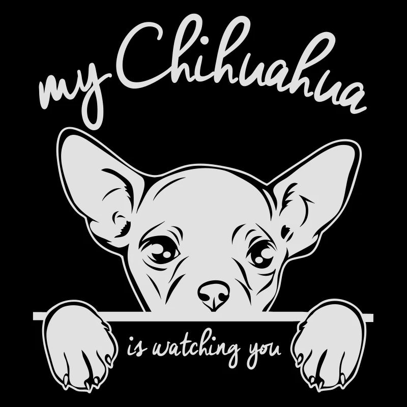 CHIHUAHUA vous regarde