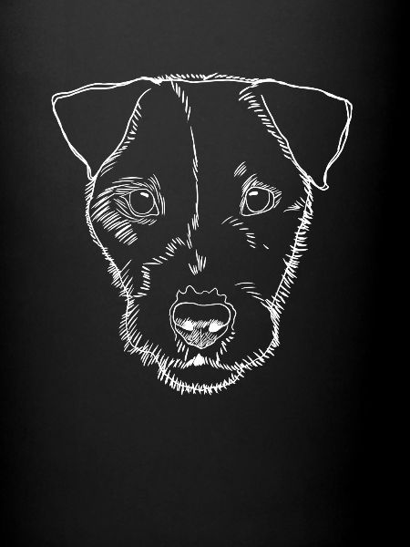 Parson Russel Terrier chien