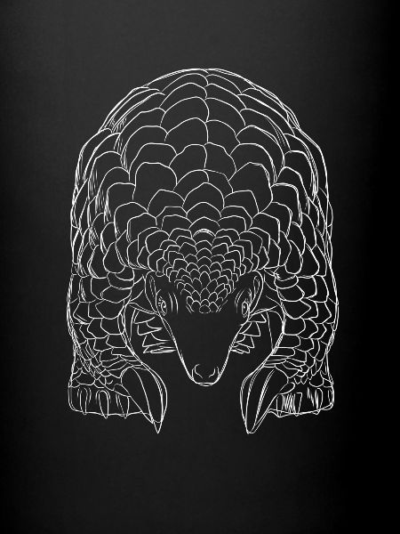 Pangolin Strokes