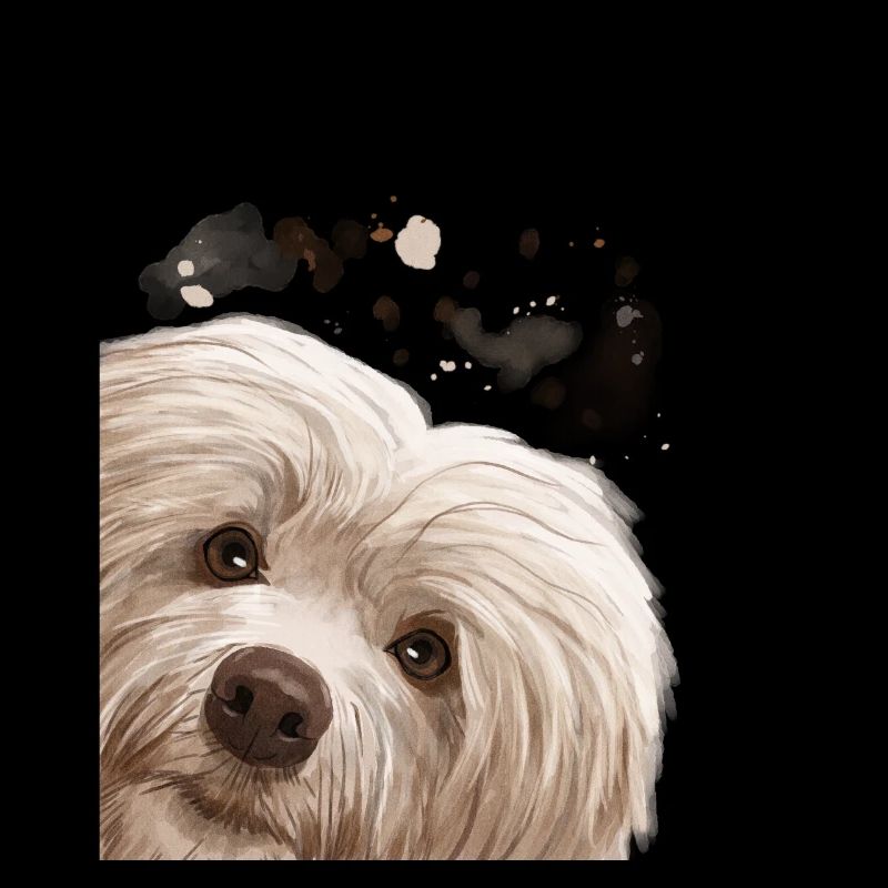 Curious Havanese Dog