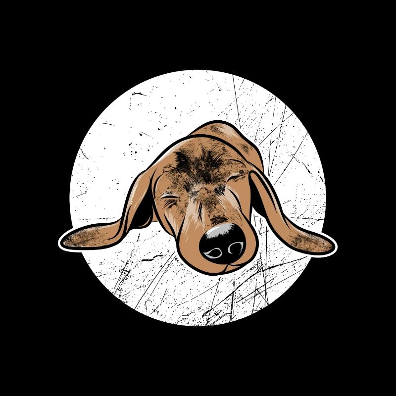 Dackel schlafen Hund