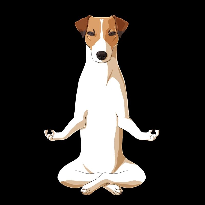Meditating Jack Russell Terrier Dog