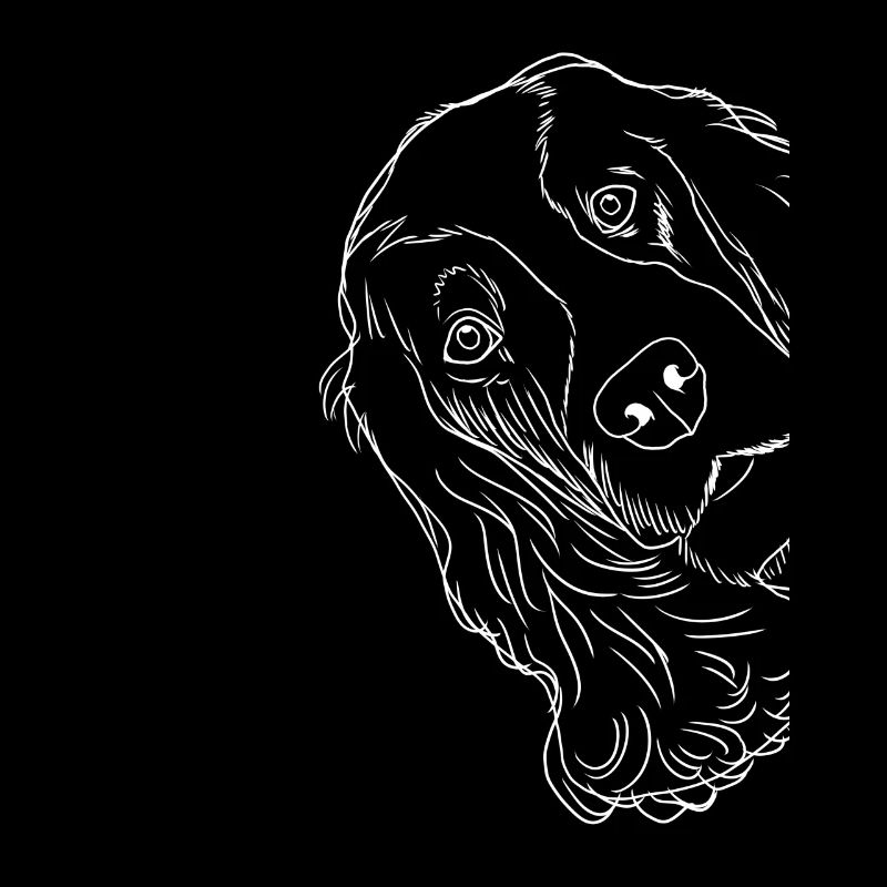 Neugieriger English Cocker Spaniel Hund