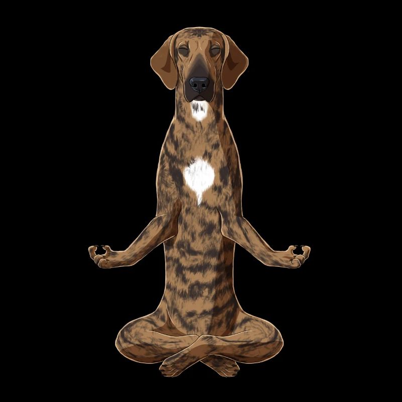 Meditating Plott Hound Dog