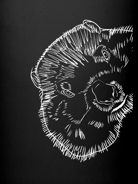 Marmotte