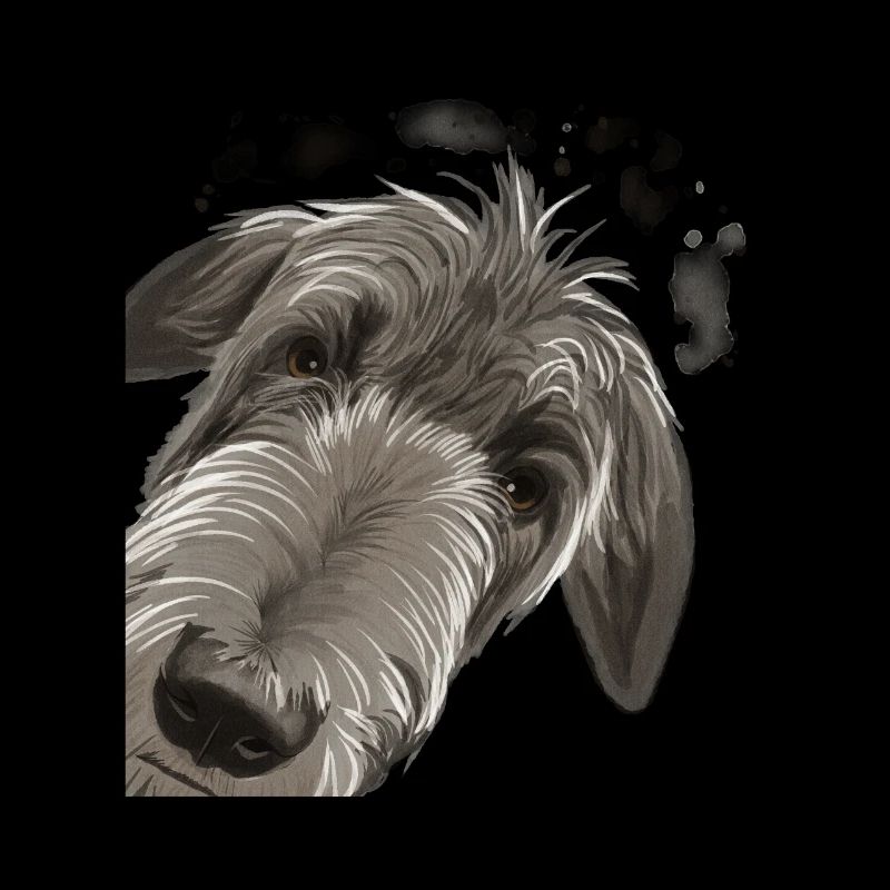 Curieux Chien Deerhound