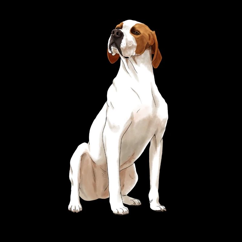 Sitzender English Pointer Hund