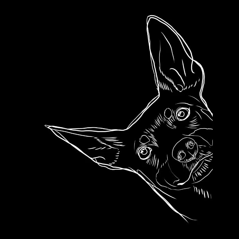 Chien canin nain curieux