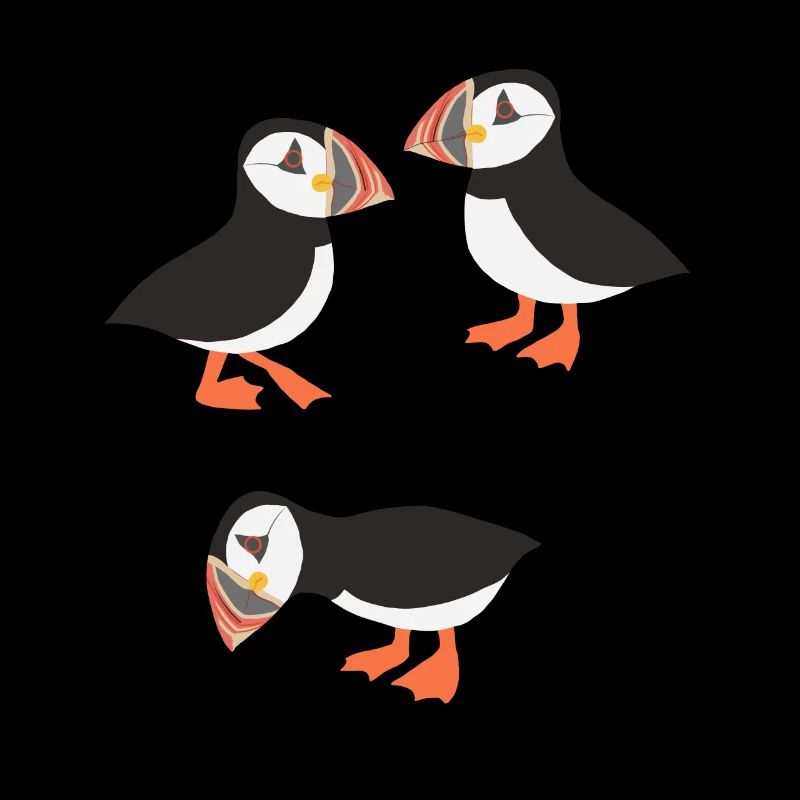 Funny Puffin Birds