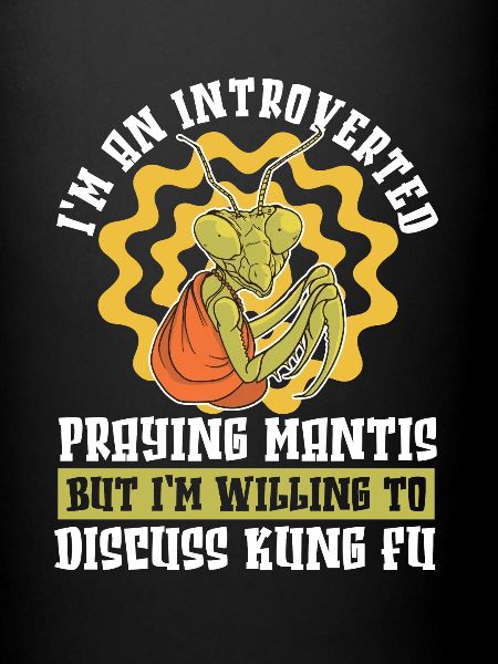 Kung-fu