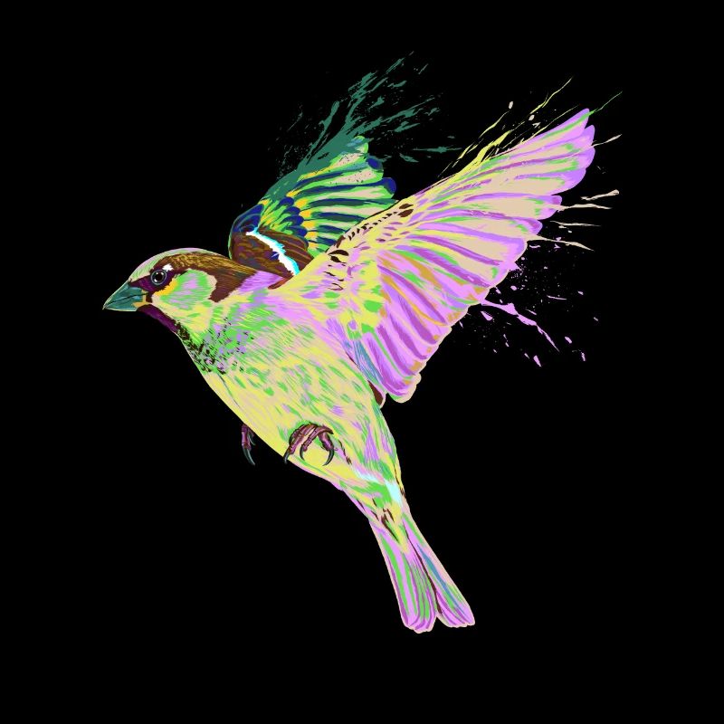 Colorful Splash Flying Bird Sparrow