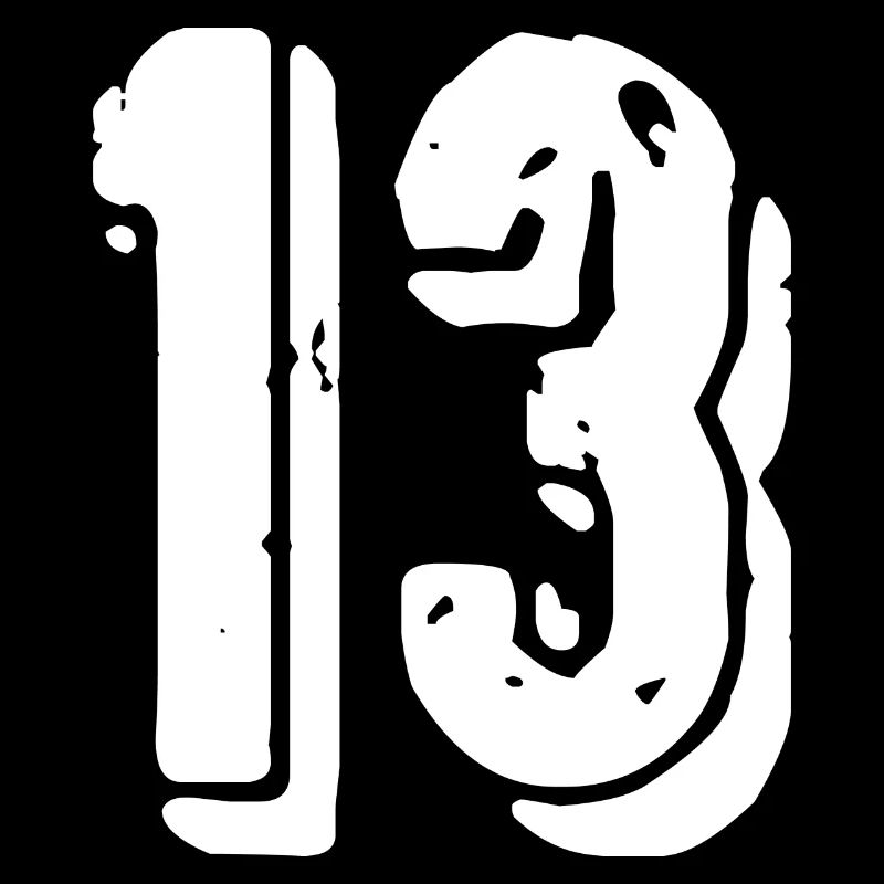13 number jersey