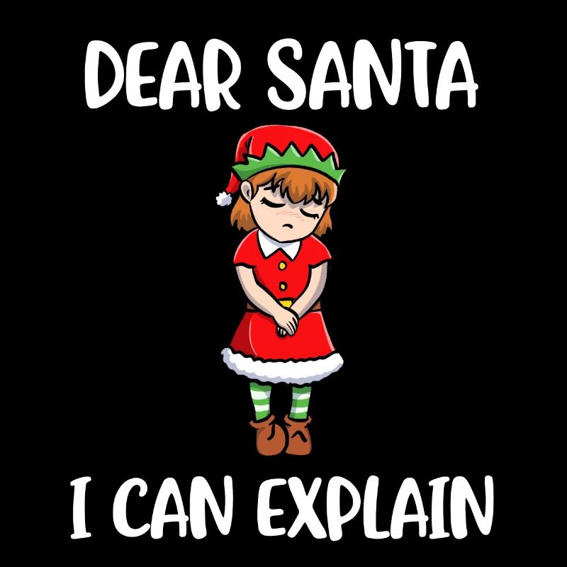 I Can Explain Lieber Weihnachtsmann Geschenk