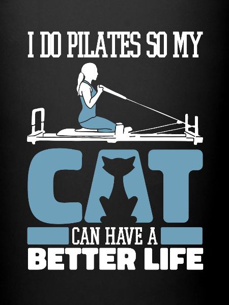 Pilates cat