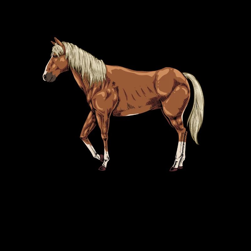 Drawing of a Haflinger