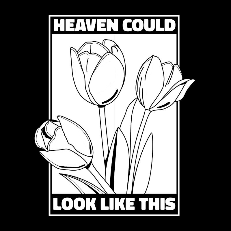 Tulpen Himmel Tulpen