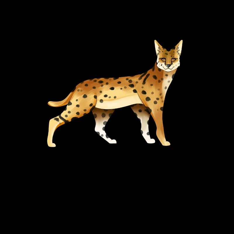 Drawing of a serval