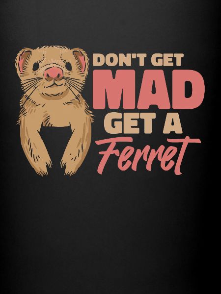 Ferret Polecat Cute
