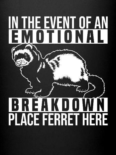 Furet Iltis Drôle