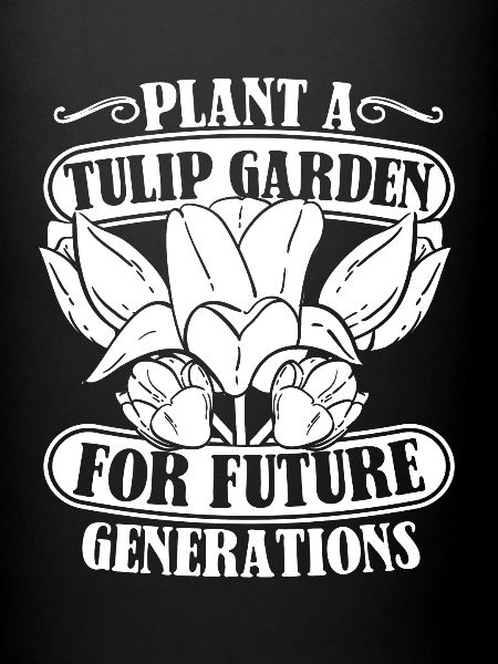 Tulips Tulips