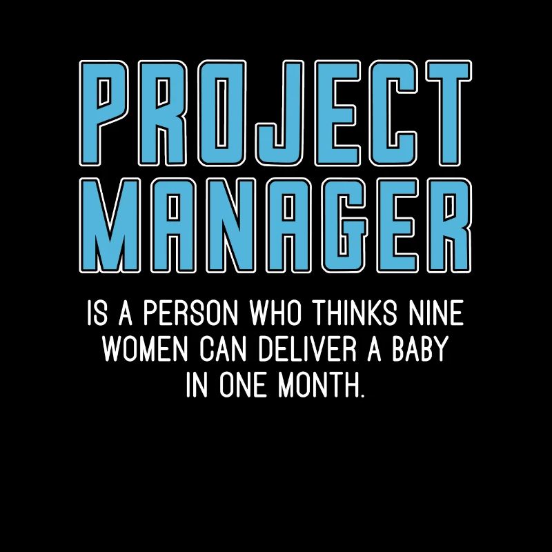 Project Management Project Manager Is Team Leader