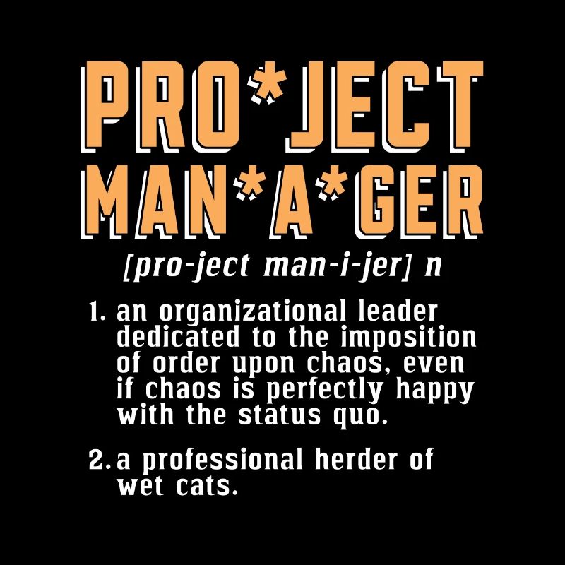 Project Manager An Organizational Leader Manager