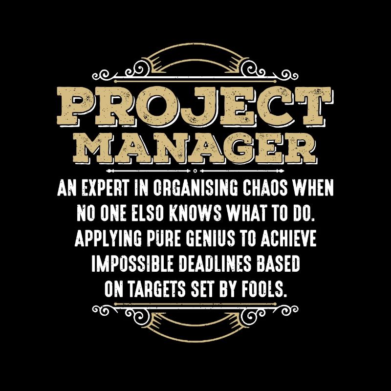 Project Manager An Expert In Project Management