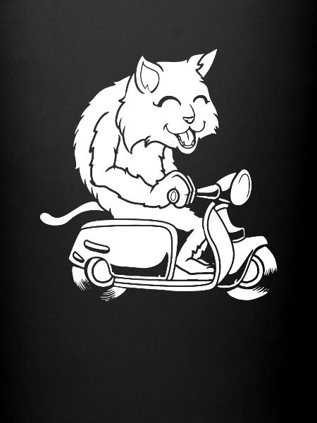Scooter Cat