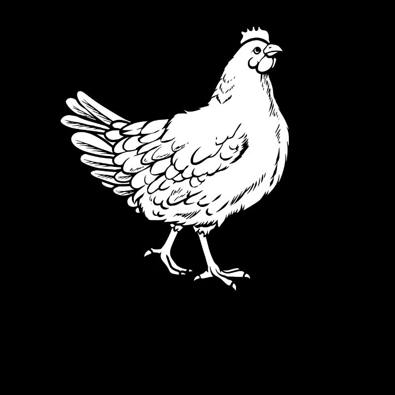 Poule de poulet