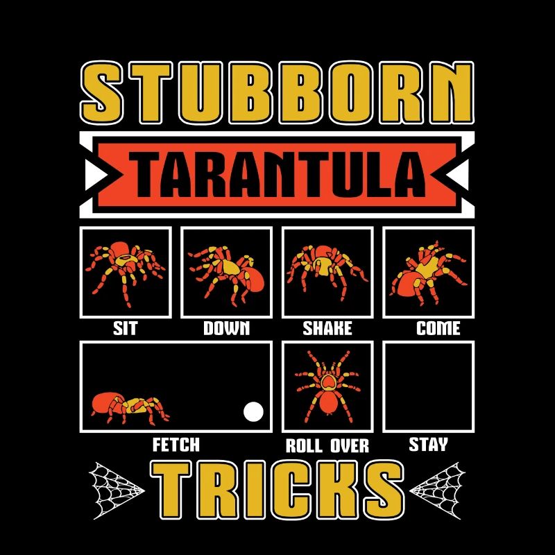 Tarentules Tarentules Têtues Tarentule Astuces Entomologiste
