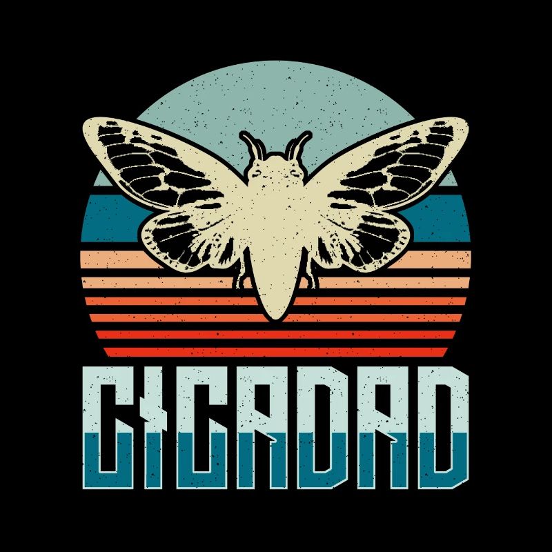 Cicadas Cicadad aime les insectes volants Entomologiste