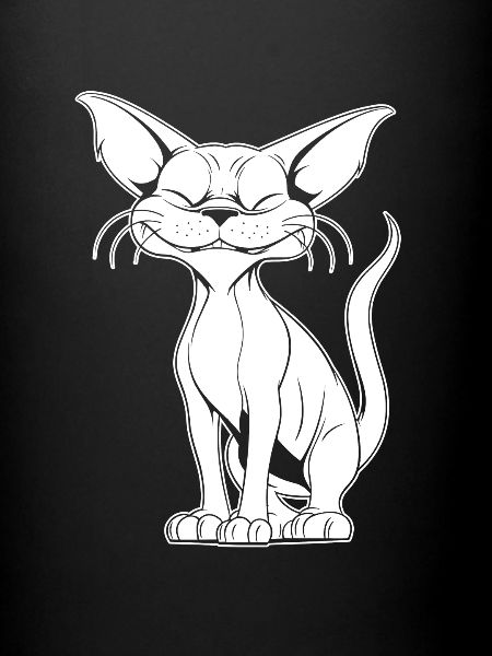 Sourire de chat Sphynx
