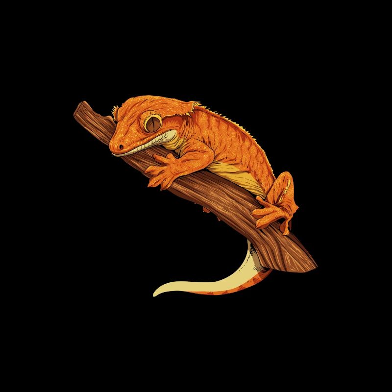 Zeichnung - Kronengecko