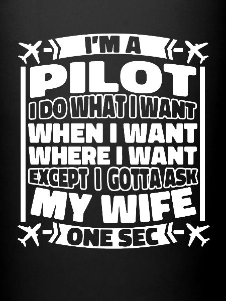 Airplane Pilot